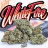 Buy white fire jungle boys online